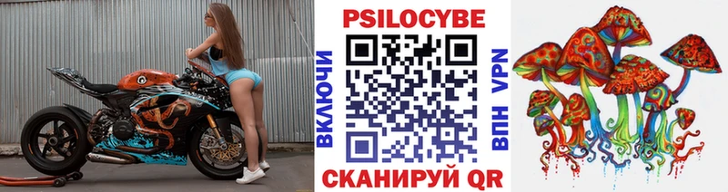 блэк спрут ссылка  Котельнич  Галлюциногенные грибы ЛСД 